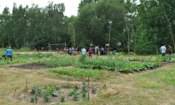Bonbonfest im internationalen Garten